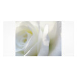 Rosa blanco tarjeta fotográfica