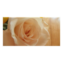 Rosa blanco tarjetas personales con fotos