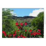 Rosa de desierto tarjetón