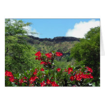 Rosa de desierto tarjetón