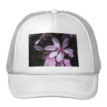 Rosa de la magnolia de la primavera gorras