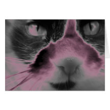 Rosa de neón del gato tarjeton