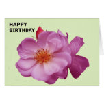 Rosa de té - tarjeta de cumpleaños