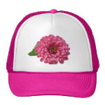 Rosa del Zinnia Gorras De Camionero