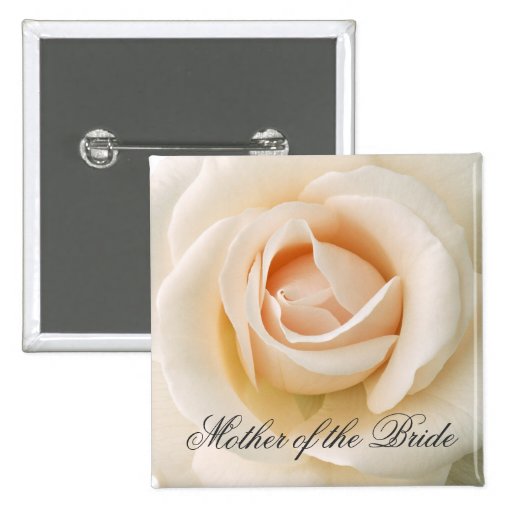 Rosa fresco hermoso pins