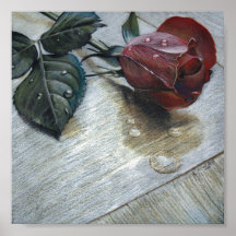 Rosa fresco poster
