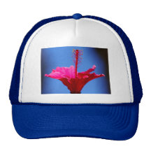Rosa gallardo gorros  