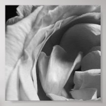 Rosa negro y blanco: Bloque 1 Impresiones