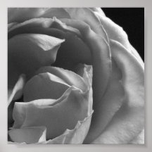 Rosa negro y blanco: Bloque 2 Poster