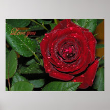 Rosa rojo #2 posters