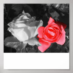rosa rojo 3 del punto impresiones