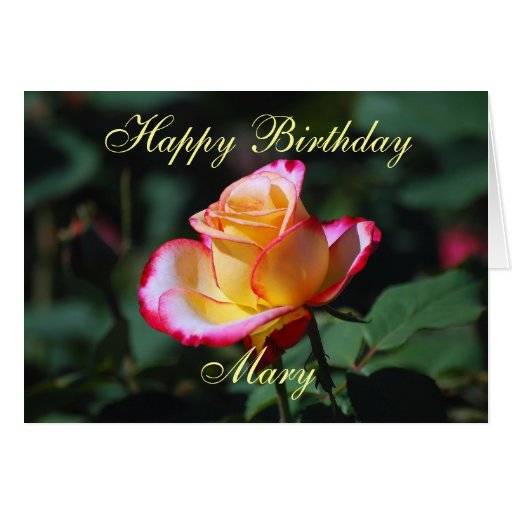 Rosa rojo, amarillo y blanco del feliz cumpleaños  felicitaciones