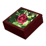 Rosa rojo brillante glorioso cajas de recuerdo