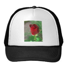 Rosa rojo carmesí angelical gorro de camionero