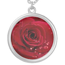 Rosa rojo collares