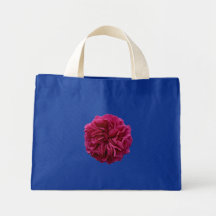 Rosa rojo con volantes del jardín inglés del país bolsa