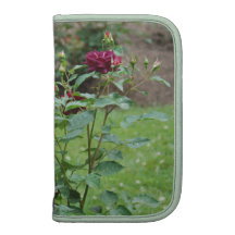 Rosa rojo en folio 2 del carrito organizador
