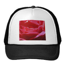 Rosa rojo en la floración gorros bordados