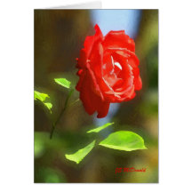 Rosa rojo flotante DE OP. SYS. Tarjeta
