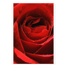 Rosa rojo invitaciones personalizada