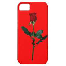 ROSA ROJO iPhone 5 CÁRCASAS