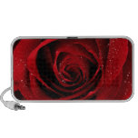 rosa rojo iPod altavoces