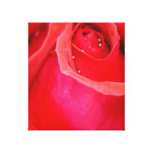 Rosa rojo impresión en lienzo estirada