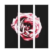 Rosa rojo - lona impresión en lienzo estirada
