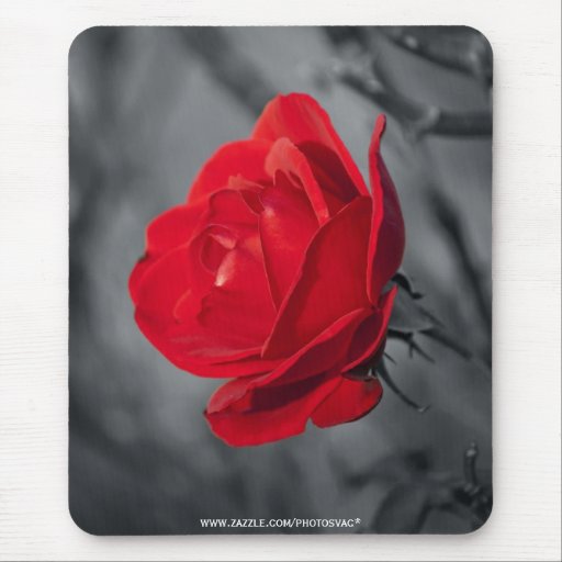 Rosa rojo Mousepad