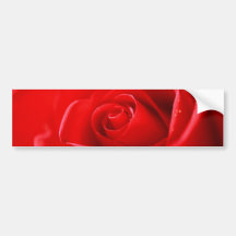 Rosa rojo pegatina de parachoque