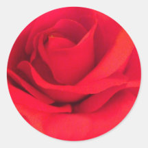 Rosa rojo pegatinas  