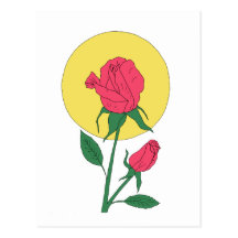 Rosa rojo postales