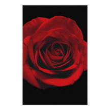 Rosa rojo romántico papeleria de diseño