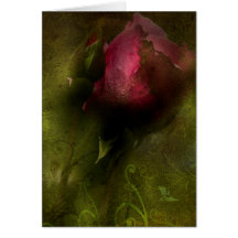 Rosa rojo tarjeta