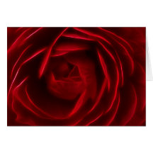 Rosa rojo tarjetas