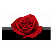 Rosa rojo - tarjetas de visita del florista