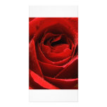 Rosa rojo tarjetas personales
