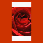 Rosa rojo tarjetas fotograficas