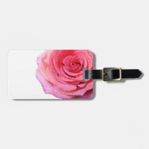 Rosa rosado aislado en el fondo blanco etiquetas bolsa