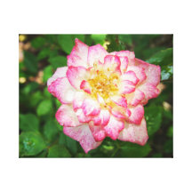 Rosa rosado y amarillo impresión en lienzo estirada