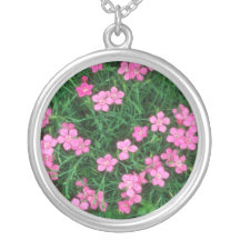 Rosa virginal rosado, (clavel Deltoides) flores Grimpolas Personalizadas