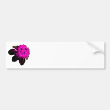 Rosa y narciso rizado negro pegatina de parachoque