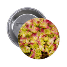 Rosa y verde pins