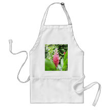 Rosado de Jengibre (jengibre rosado) Delantal