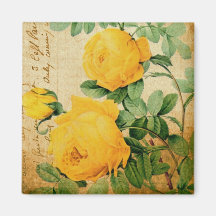 Rosas amarillos del vintage iman