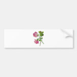 Rosas americanos rosados de la belleza en bordado etiqueta de parachoque