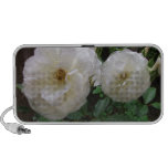 Rosas blancos florecientes iPod altavoces