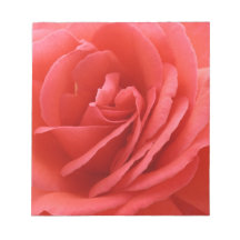 Rosas Blocs De Papel