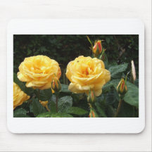 Rosas con las gotas de agua tapete de ratones