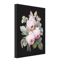 Rosas de Borbón del inglés en negro por Redoute Lona Estirada Galerias